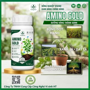 Alternative view of Amino Gold