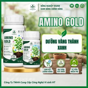 Amino Gold