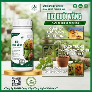 Alternative view of Bio Ruồi Vàng