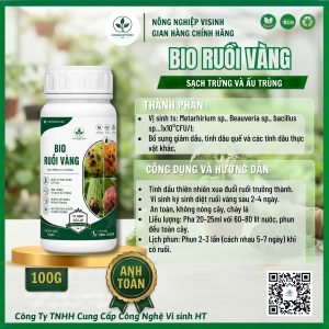 Bio Ruồi Vàng - Ảnh 3