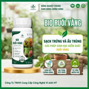 Bio Ruồi Vàng