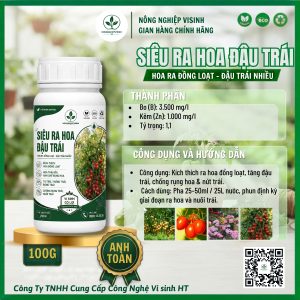 Siêu ra hoa đậu trái - Ảnh 3