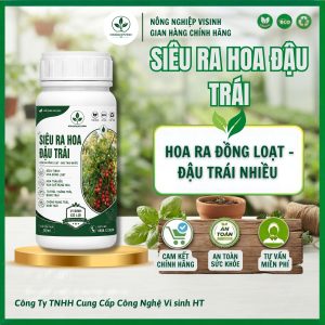 Siêu ra hoa đậu trái