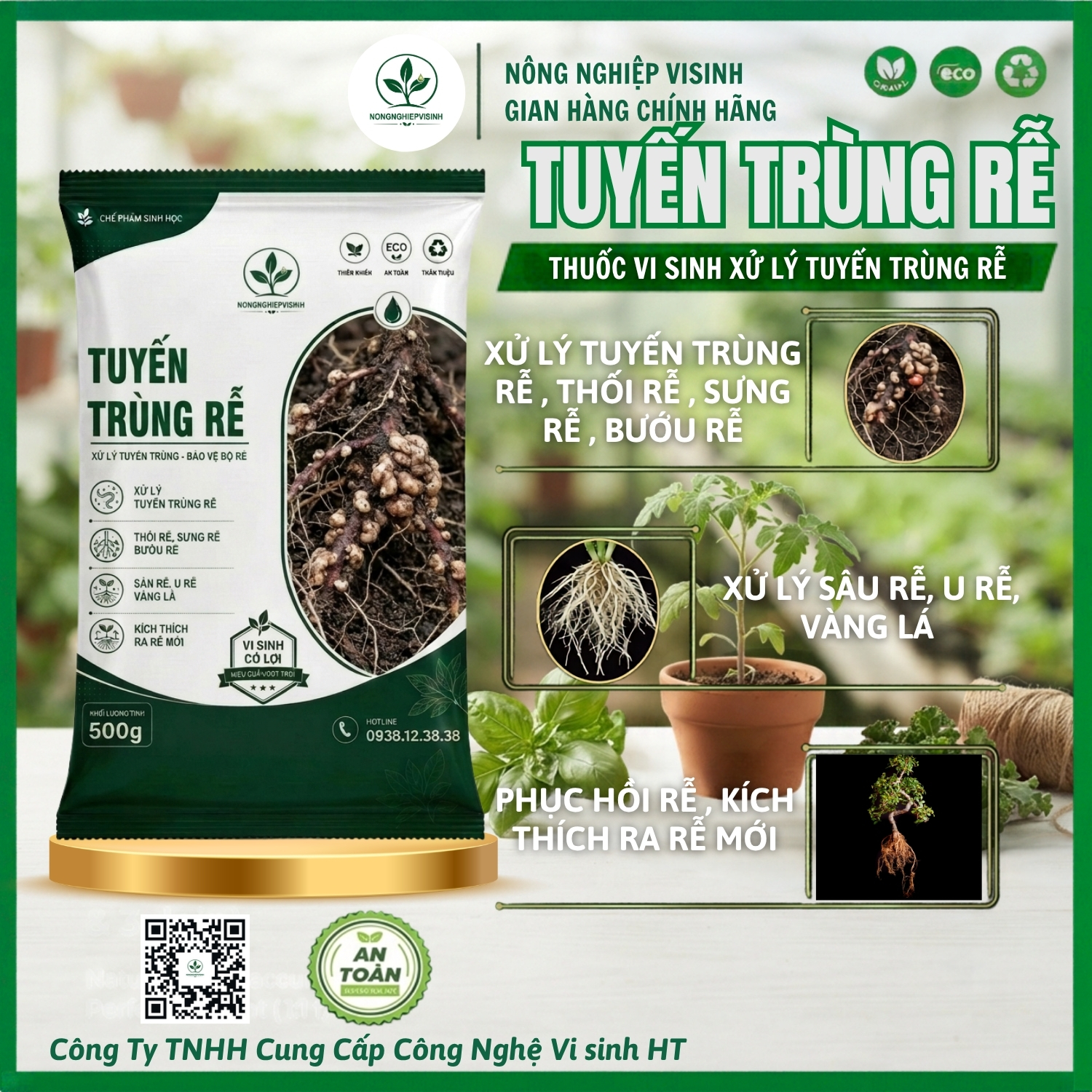 Tuyến trùng rễ - Ảnh 2