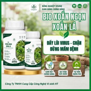 Bio Xoắn Lá Xoắn Ngọn