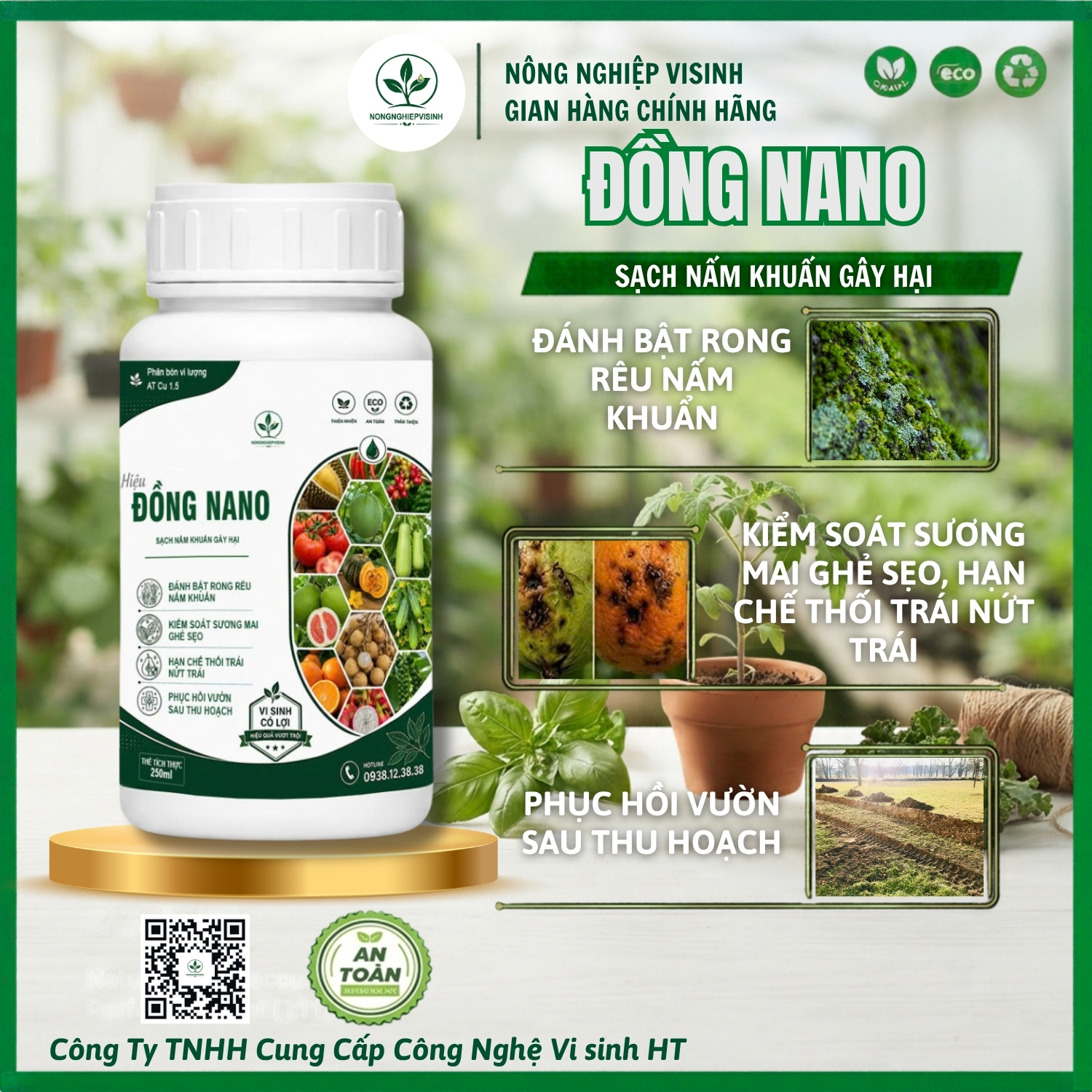 Đồng NaNo - Ảnh 2