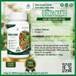 Đồng NaNo - Ảnh 3