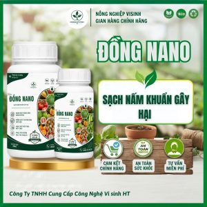Đồng NaNo