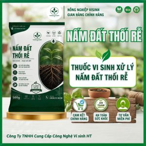 Nấm đất thối rễ