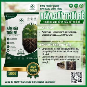 Nấm đất thối rễ - Ảnh 3