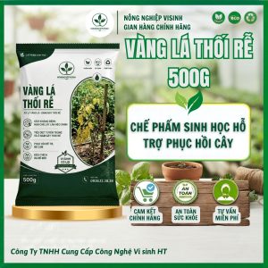 Vàng lá thối rễ