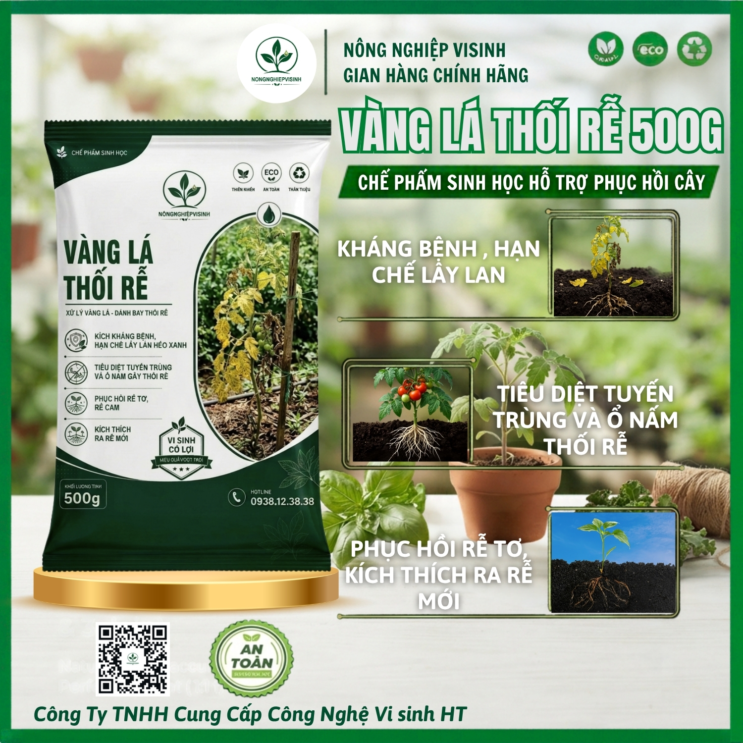 Vàng lá thối rễ - Ảnh 2