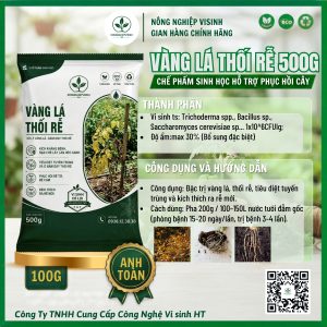 Vàng lá thối rễ - Ảnh 3