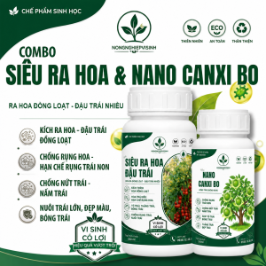 Combo Siêu Ra Hoa Đậu Quả & Nano Canxi Bo 250ml